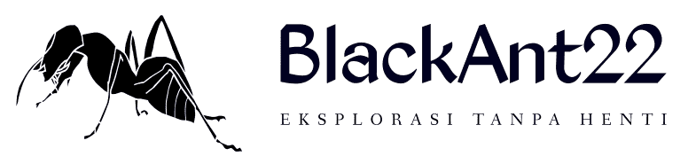 BlackAnt22